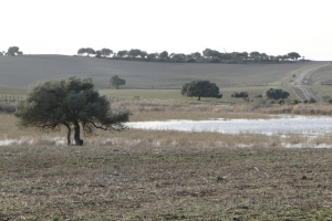 Lagunas de las Canteras y el Tejón